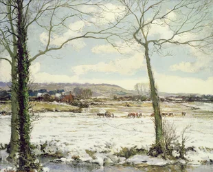 De Bevroren Weide